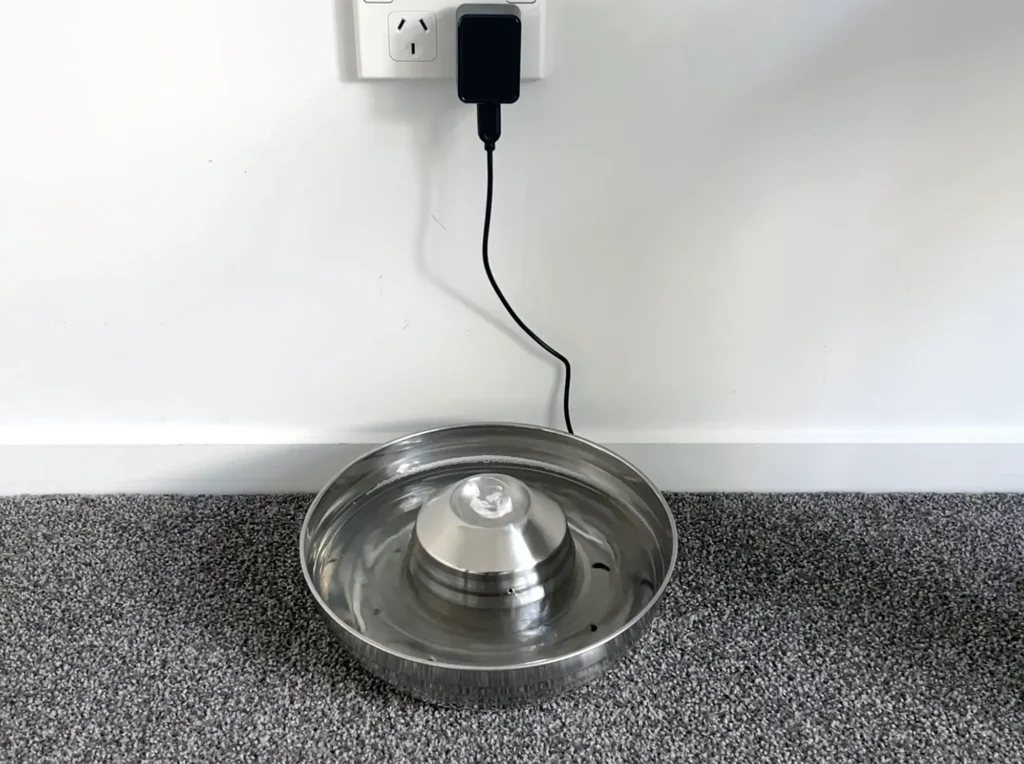 Stainless Steel Drinking Bowl Fountain Ragdoll cat